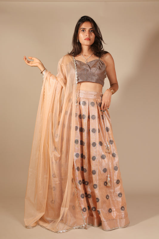 Peach Linen Tissue Lehenga with Sequins Embroidery and Net Dupatta