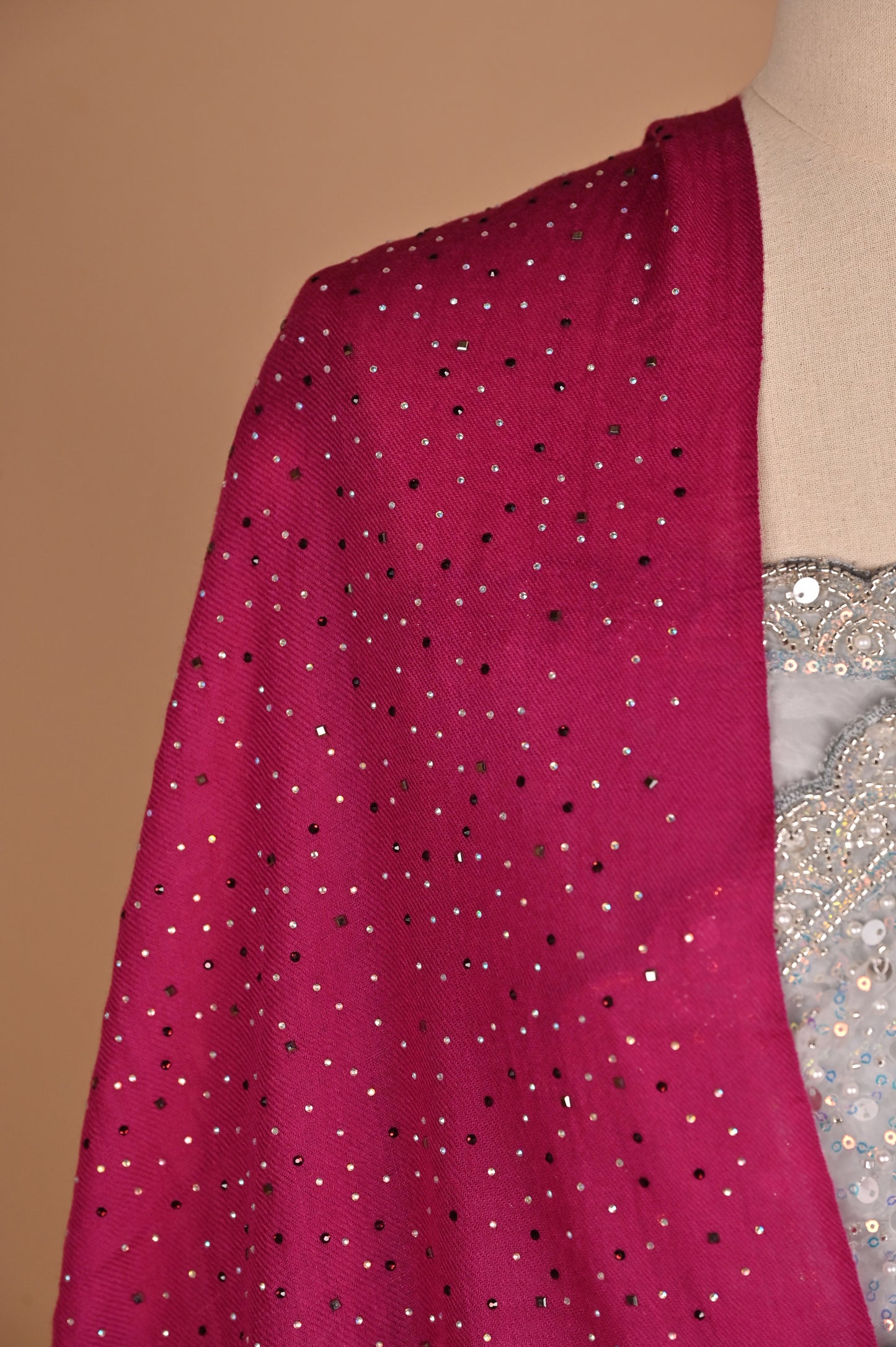 Enchanted Silver Shimmer Saree with Tassels embroidered in Sequins and Pearls