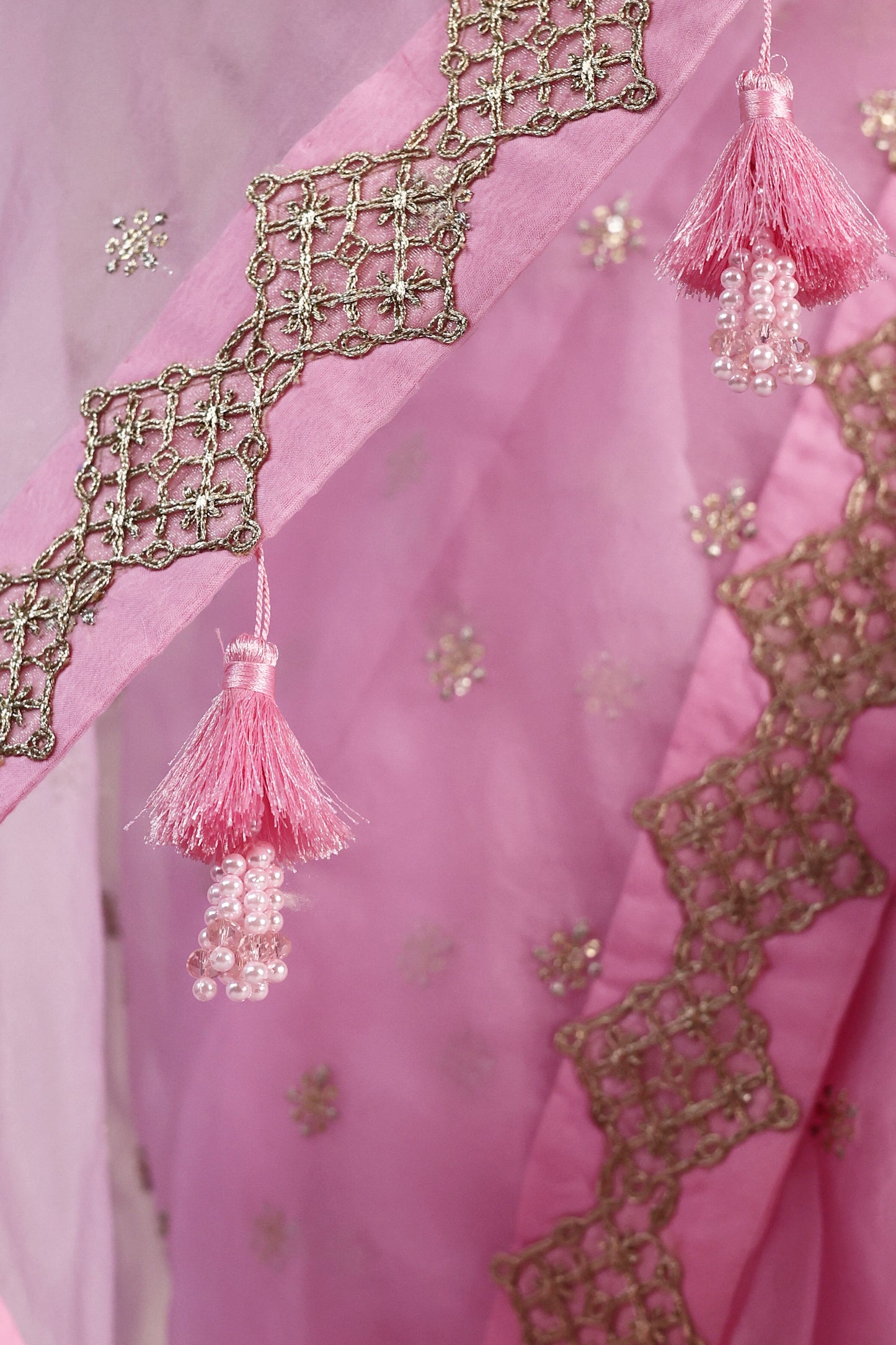 Baby Pink Organza Saree with Mukesh Work, Lace Borders & Tassel Detailing
