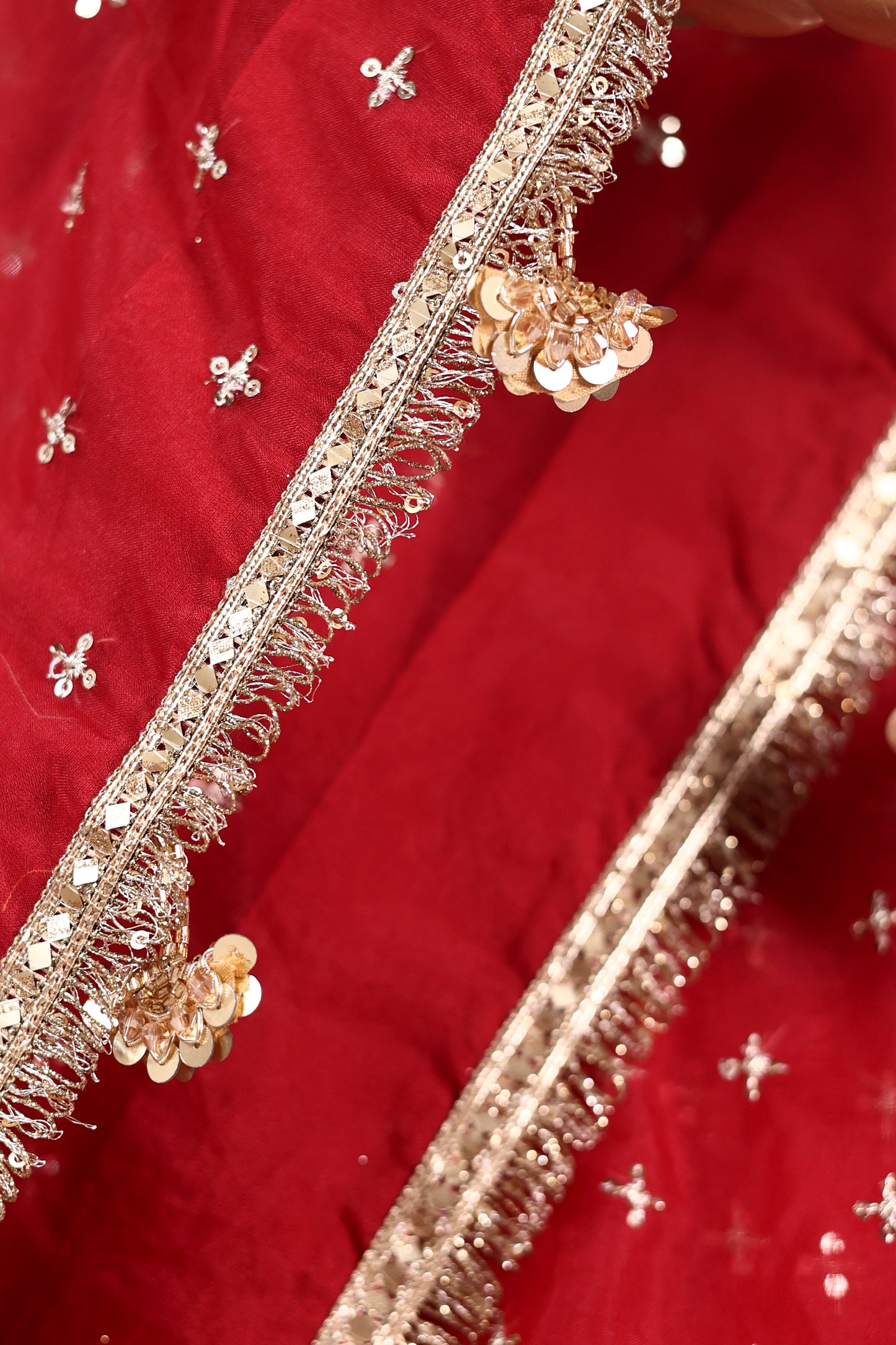 Red Embroidered Organza Saree with Mukesh Work, Fringed Lace & Tassel Accents