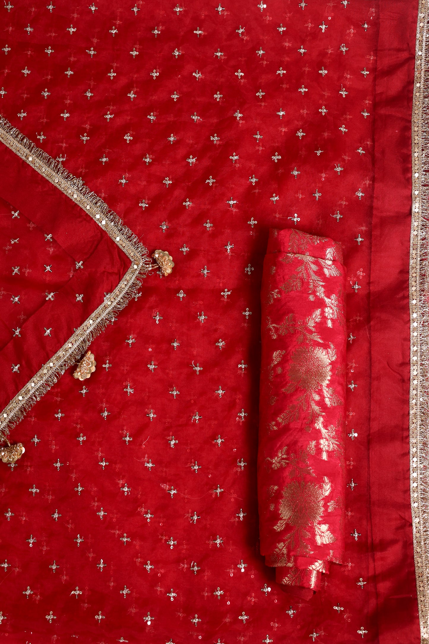 Red Embroidered Organza Saree with Mukesh Work, Fringed Lace & Tassel Accents